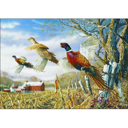 H2H DM 58 Pheasants Doormat; Multicolor H2891173